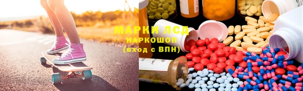 винт Алзамай