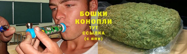 бошки Алексин