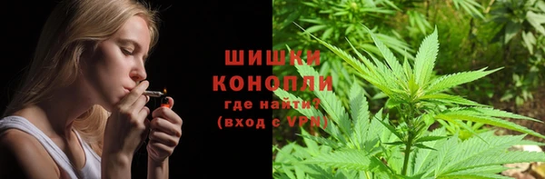 бошки Алексин