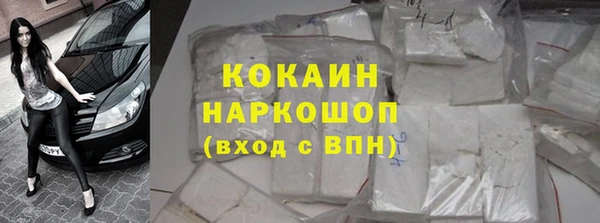 бошки Алексин