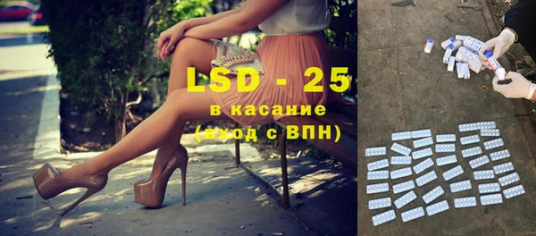 винт Алзамай