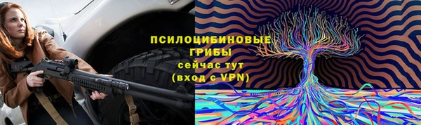 бошки Алексин