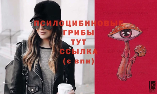 винт Алзамай