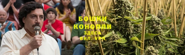 винт Алзамай